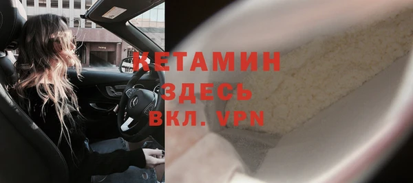 хмурый Аркадак
