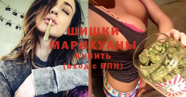 хмурый Аркадак