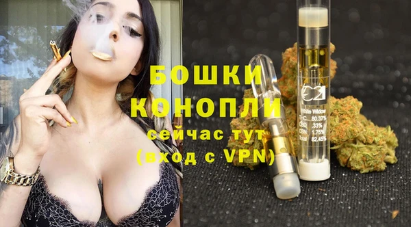 хмурый Аркадак