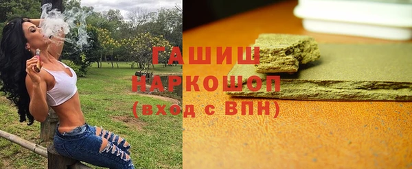 хмурый Аркадак