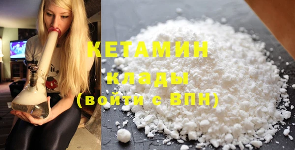 хмурый Аркадак