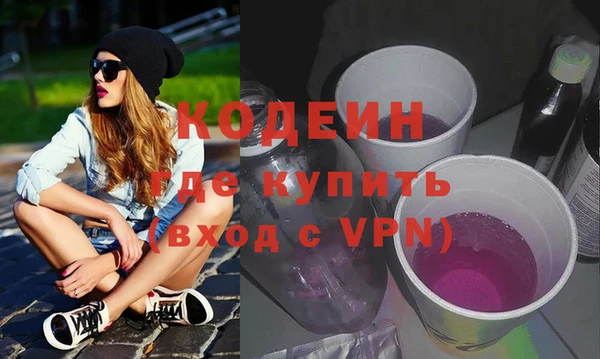хмурый Аркадак