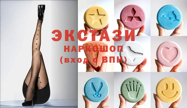 хмурый Аркадак