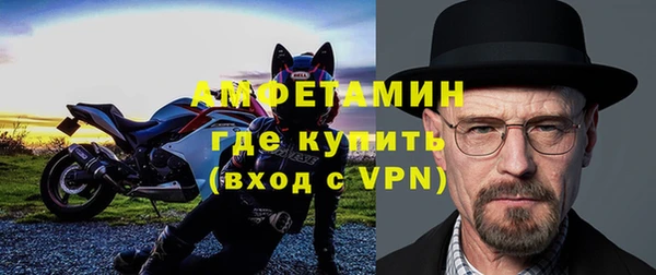 хмурый Аркадак
